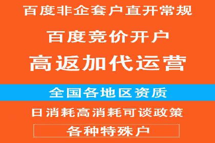百度推广实战：案例分析与优化技巧